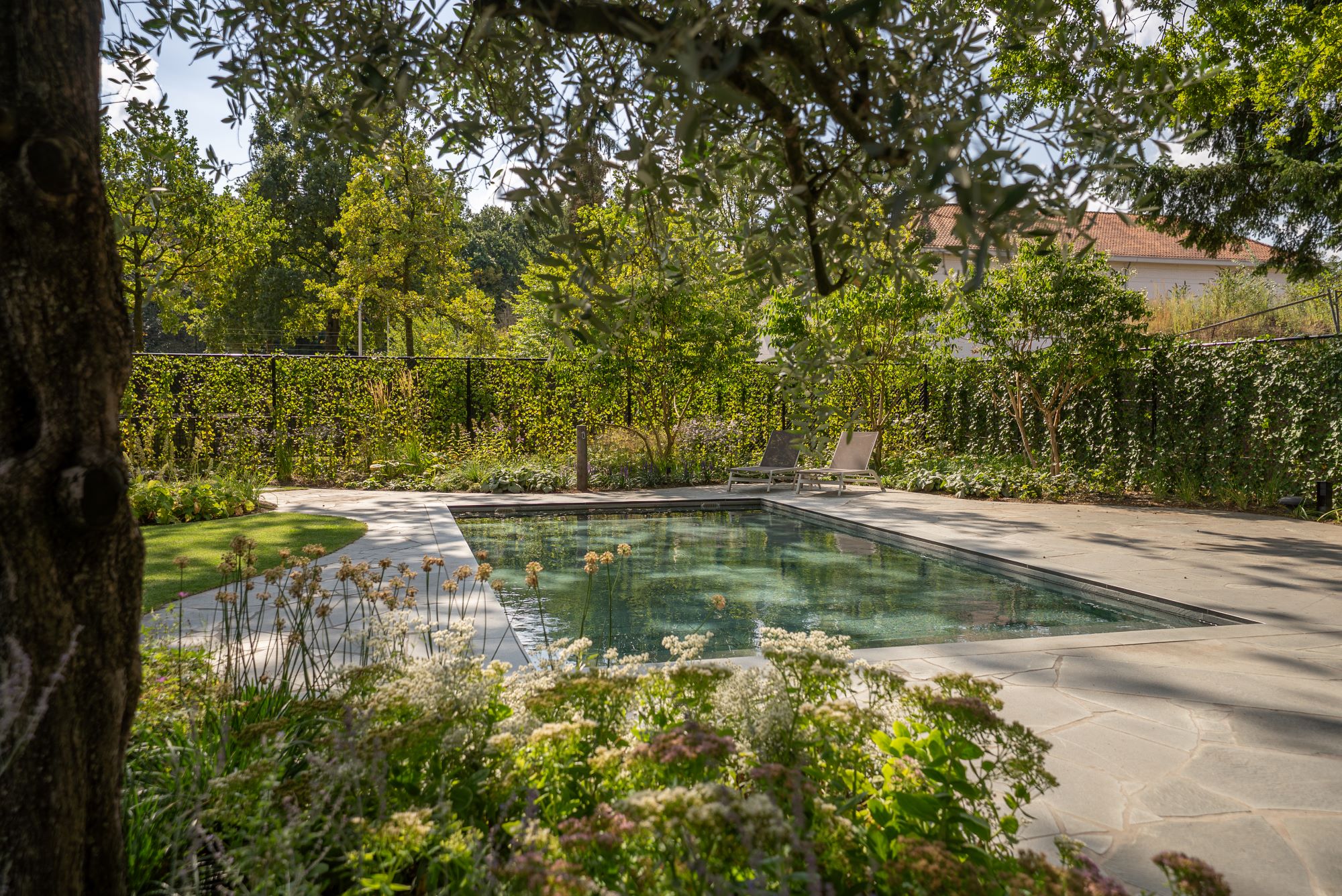 luxe tuin bij villa met zwembad