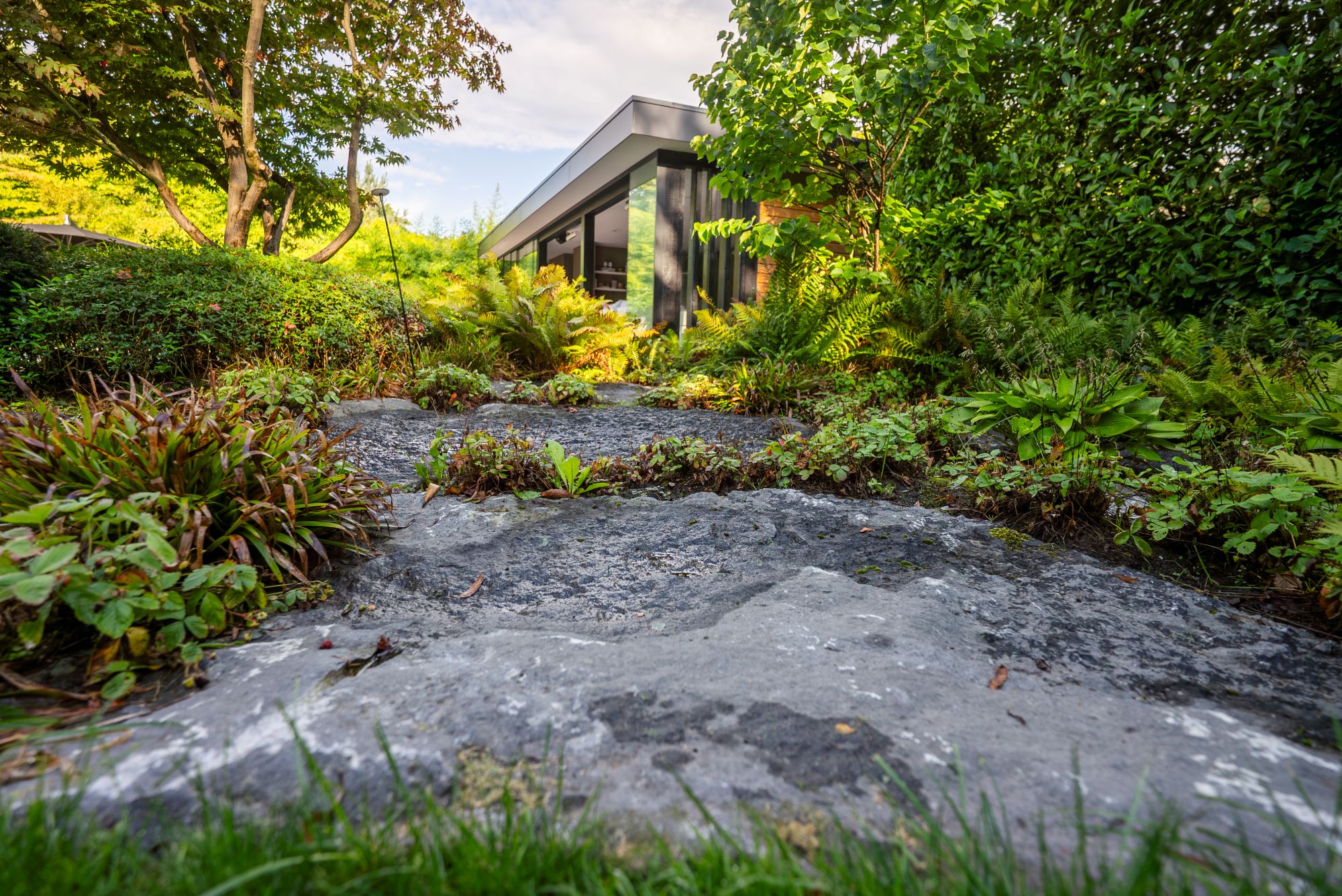 luxe design tuin