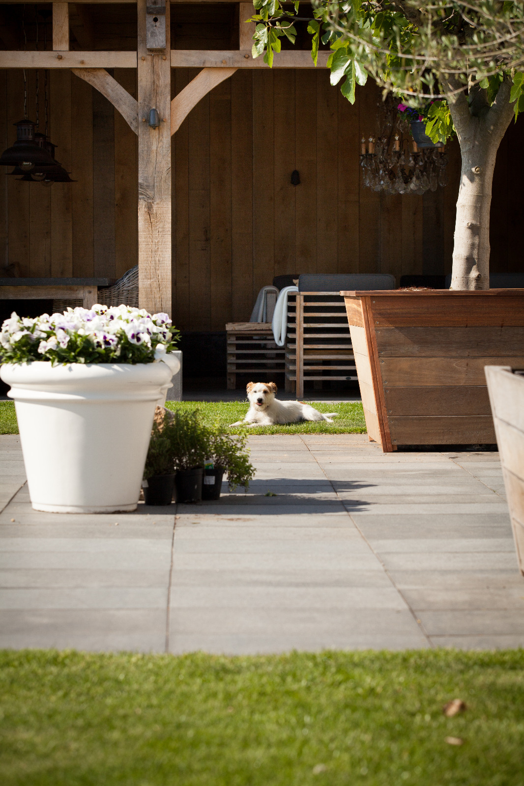 luxe houten bijgebouw