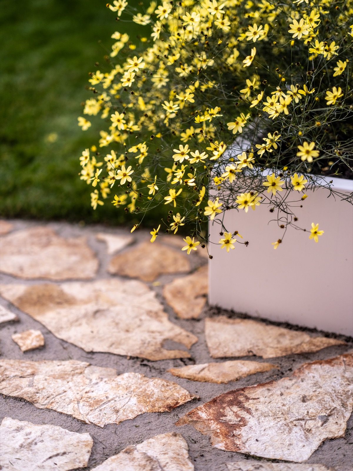 tuin met terrastegels