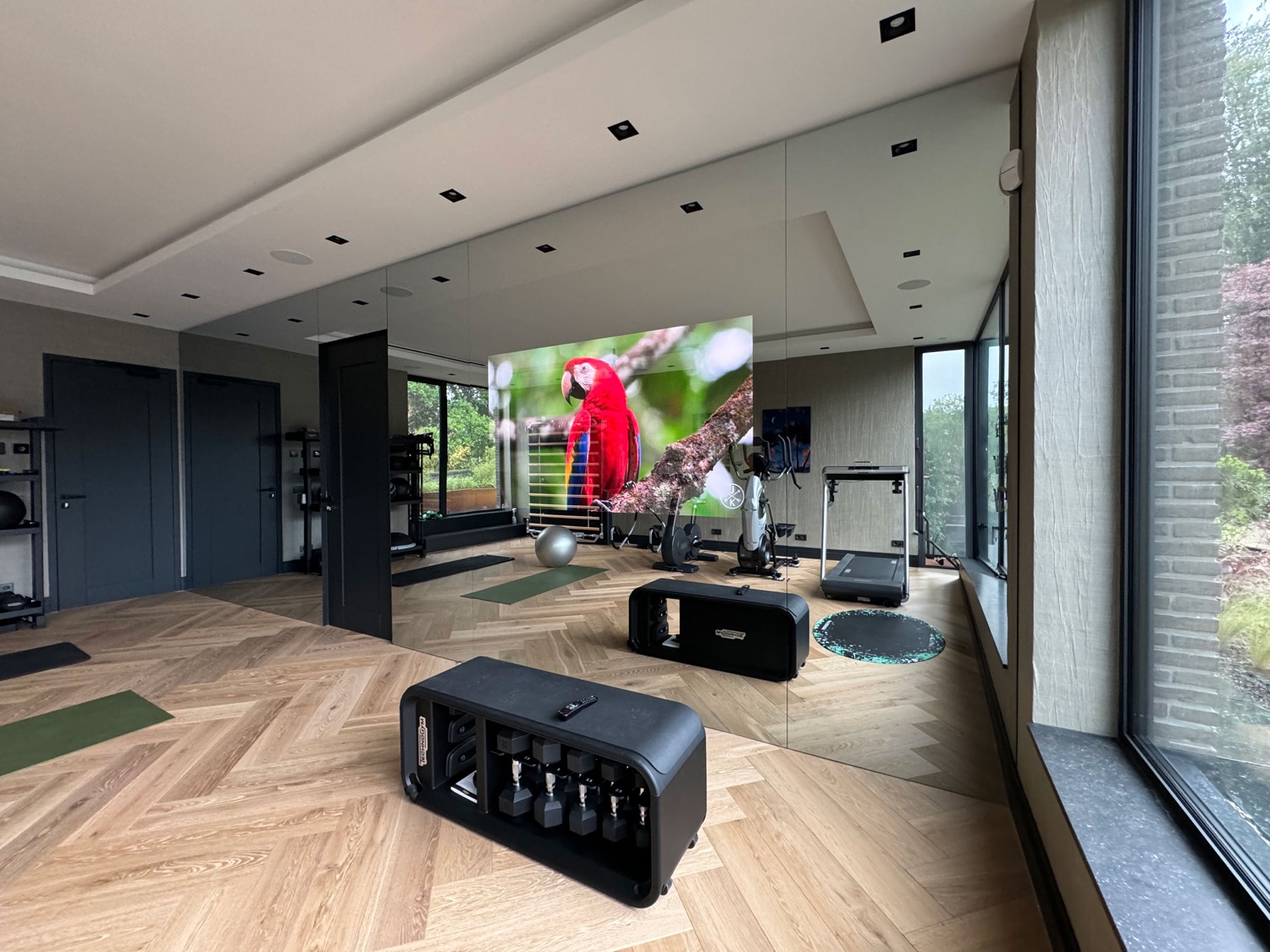 mirror tv in fitness