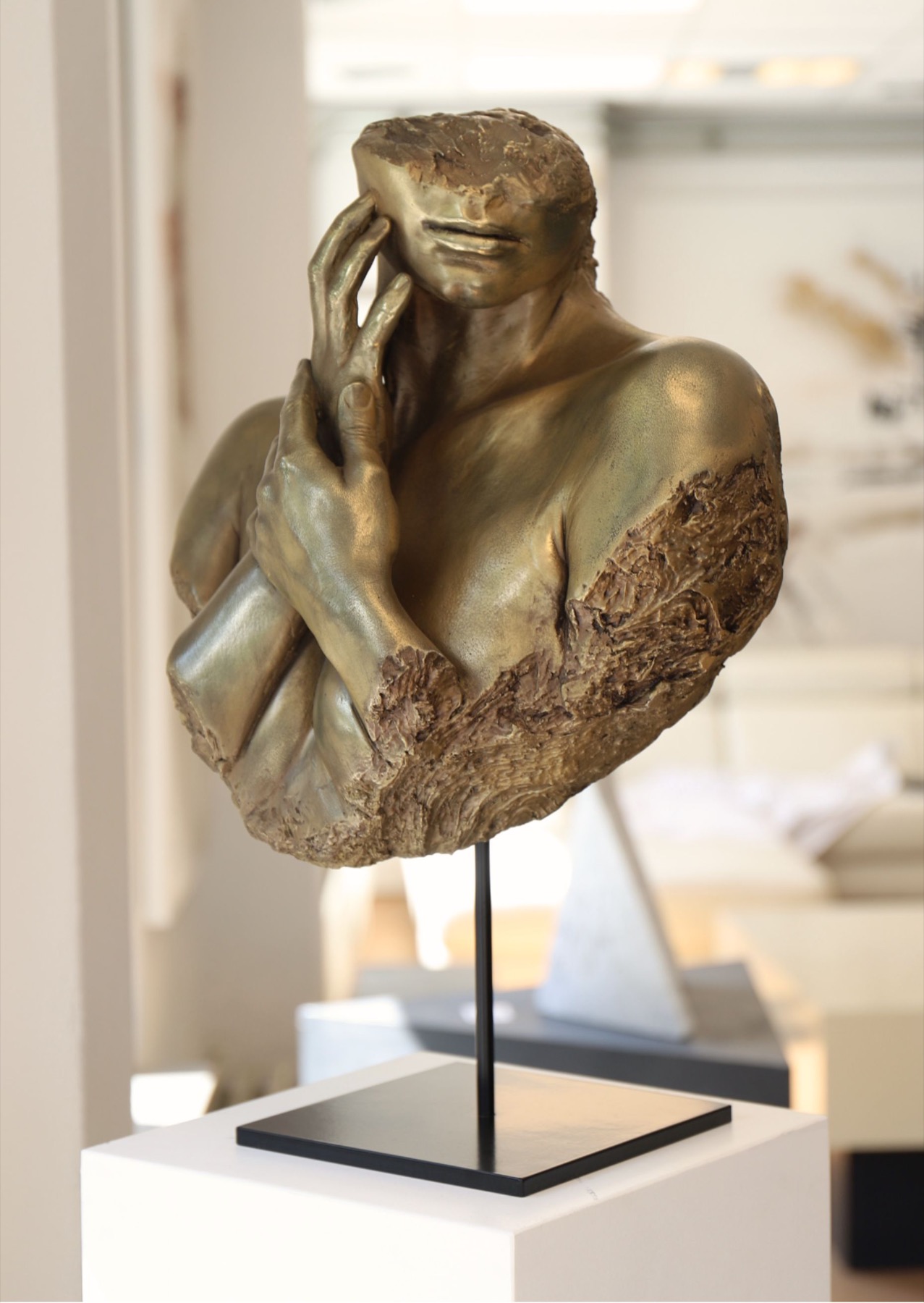 exclusieve kunst