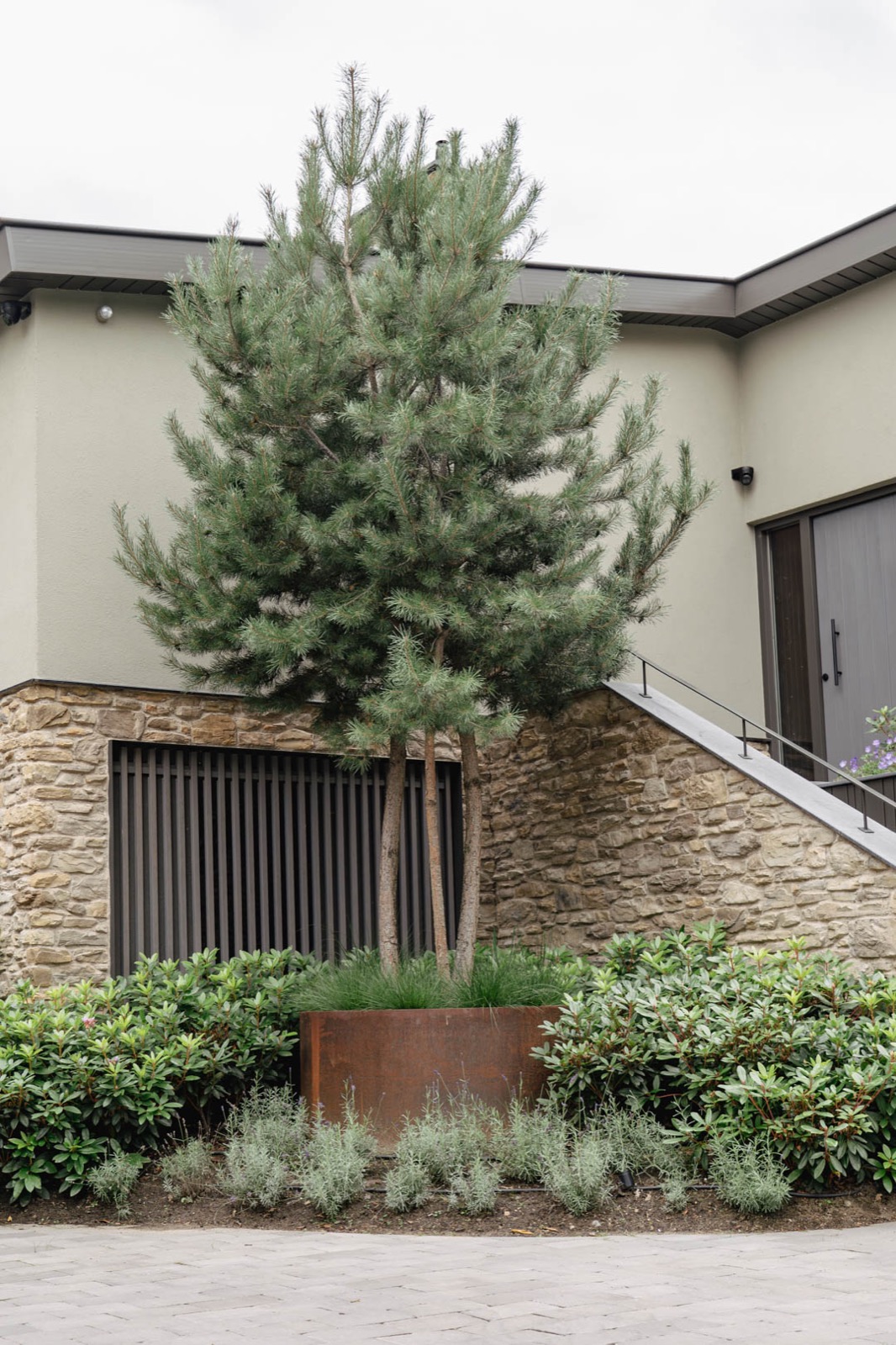 luxe voortuin met boom en beplanting