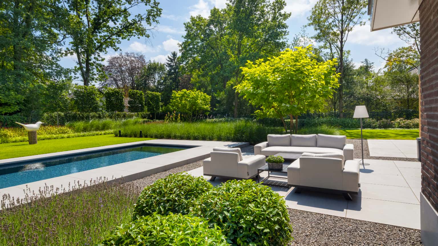 tuin met zwembad