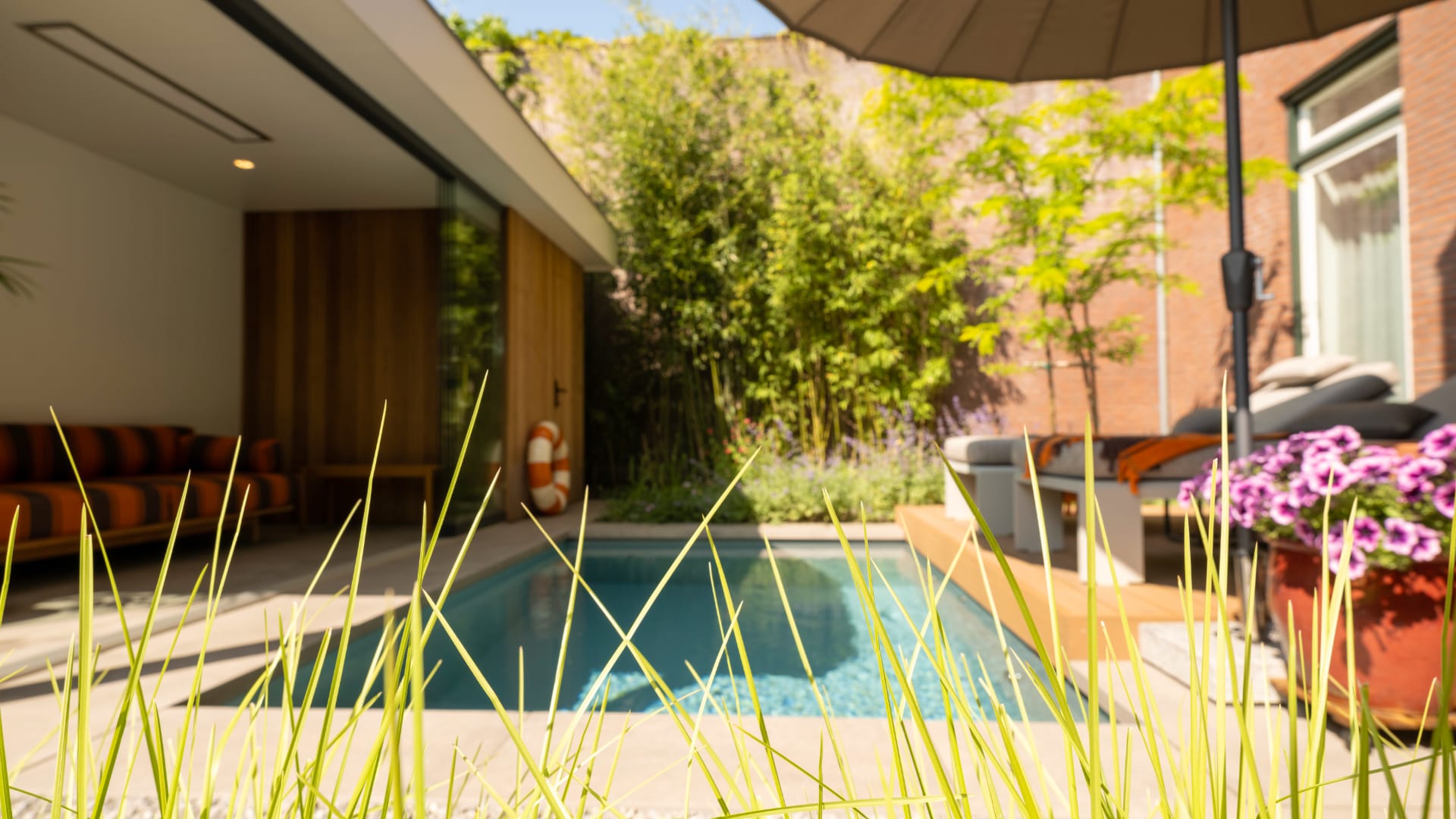 tuin met grassen bij zwembad