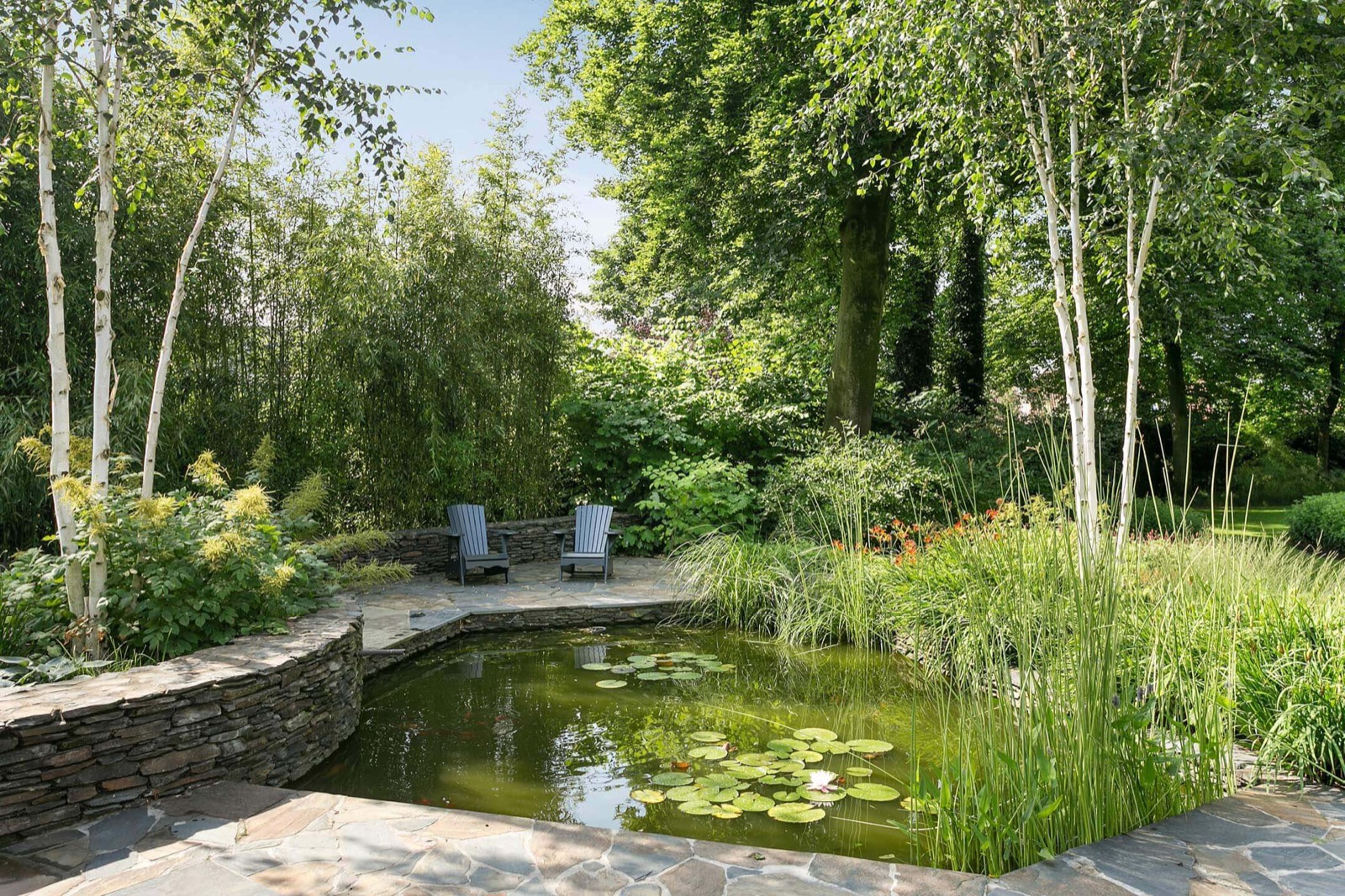 Achtertuin met vijver