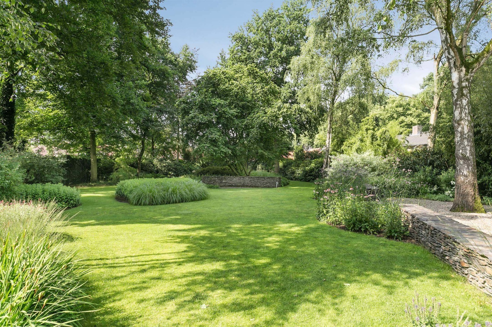 Achtertuin met gras