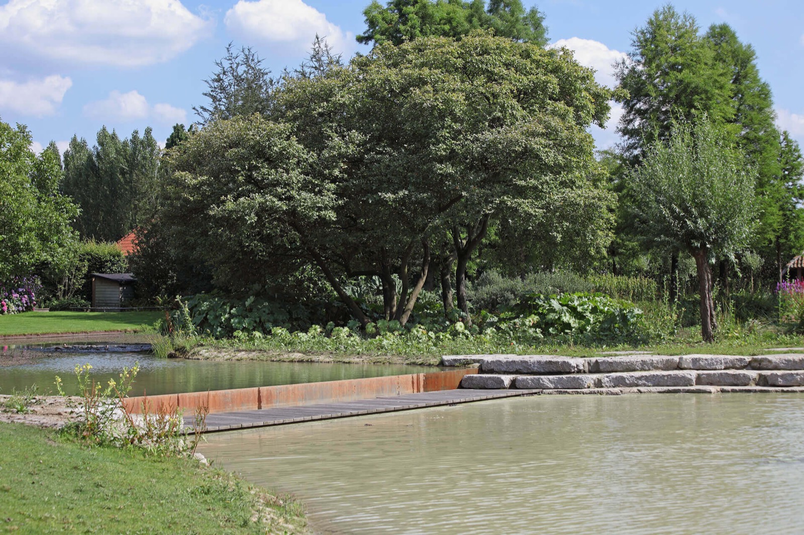 Vijver met dam