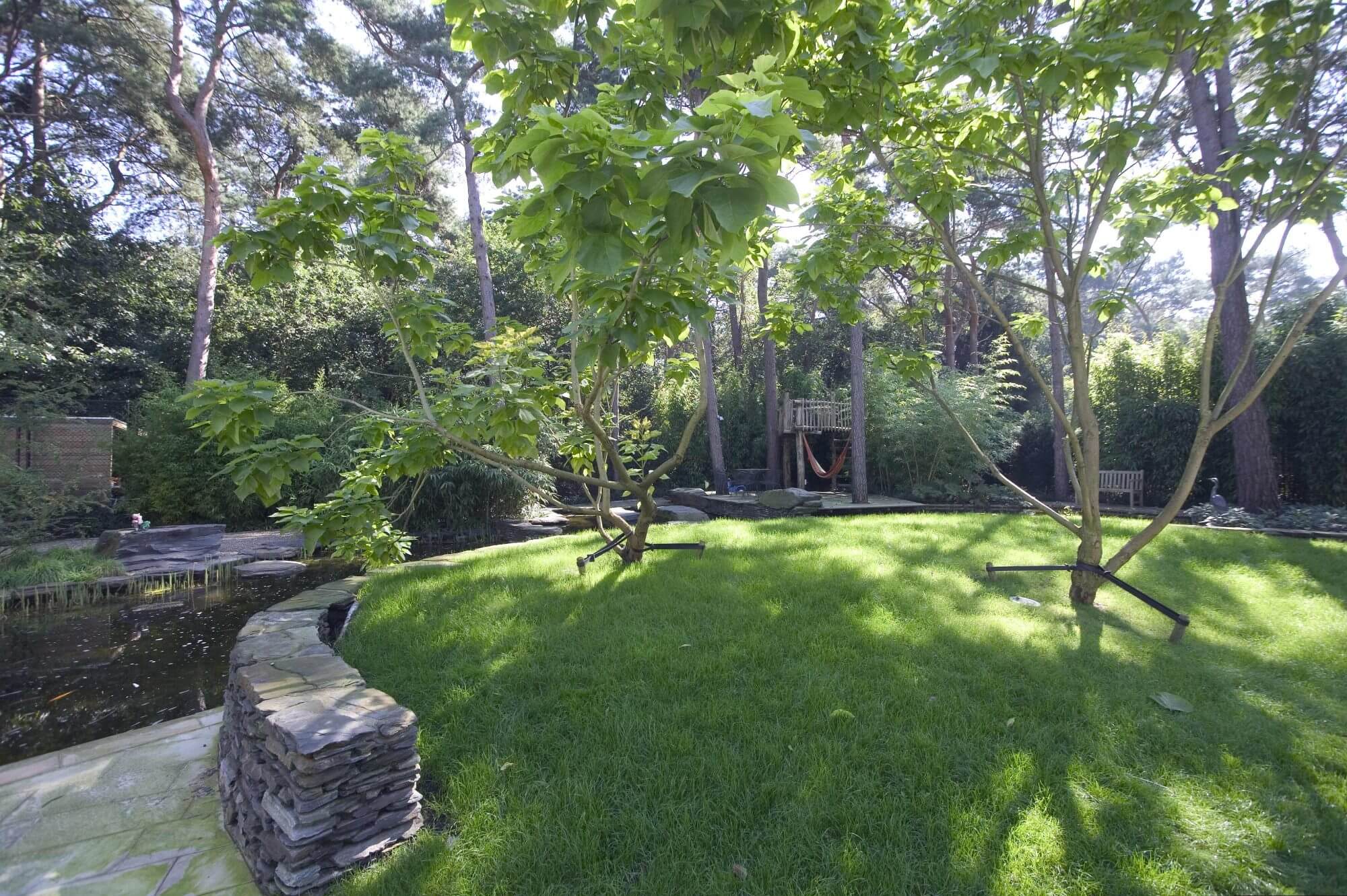 gazon jungle tuin