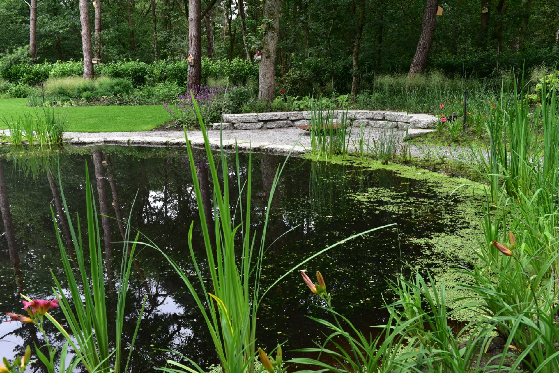vijver met zitplek