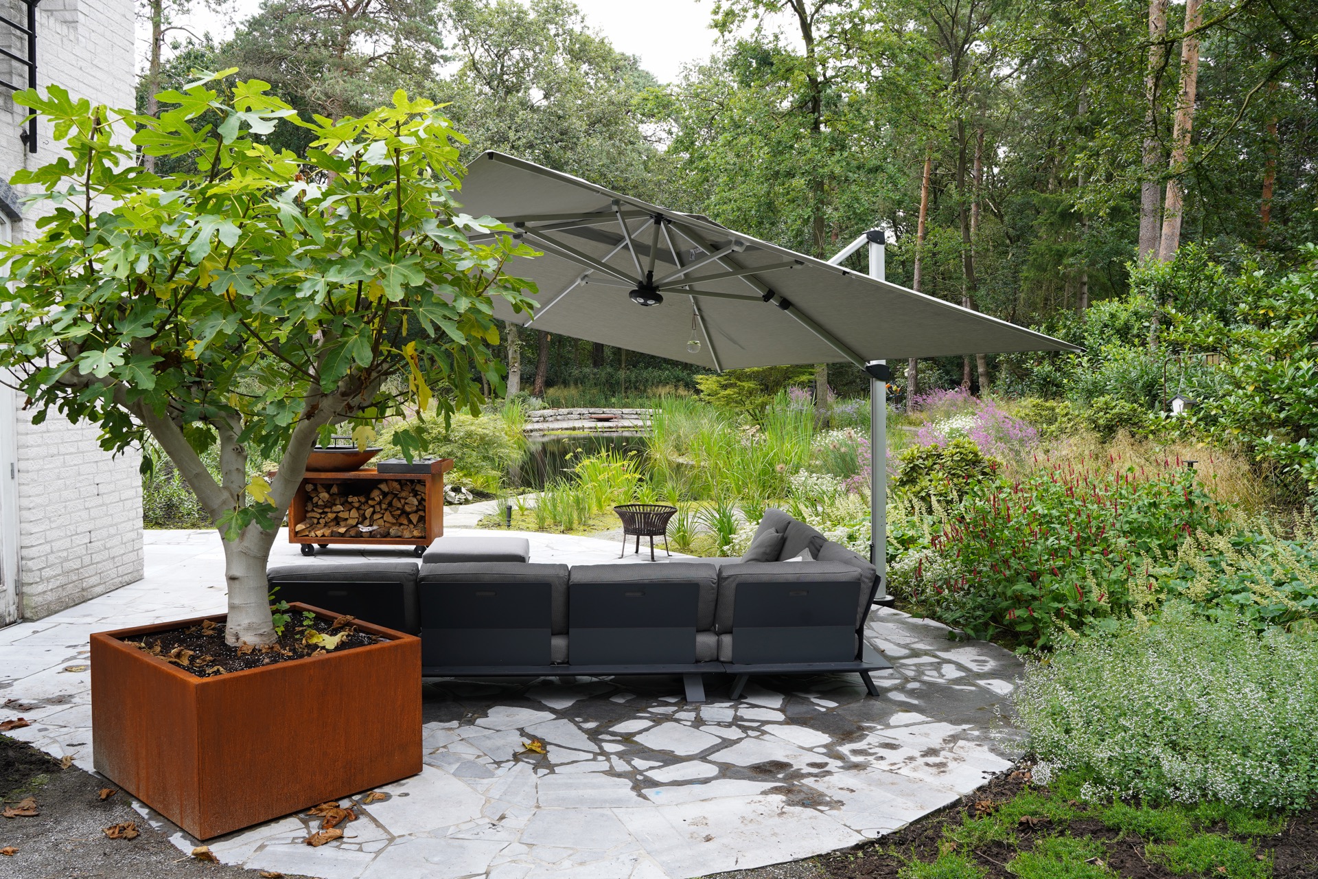 terras met vijver