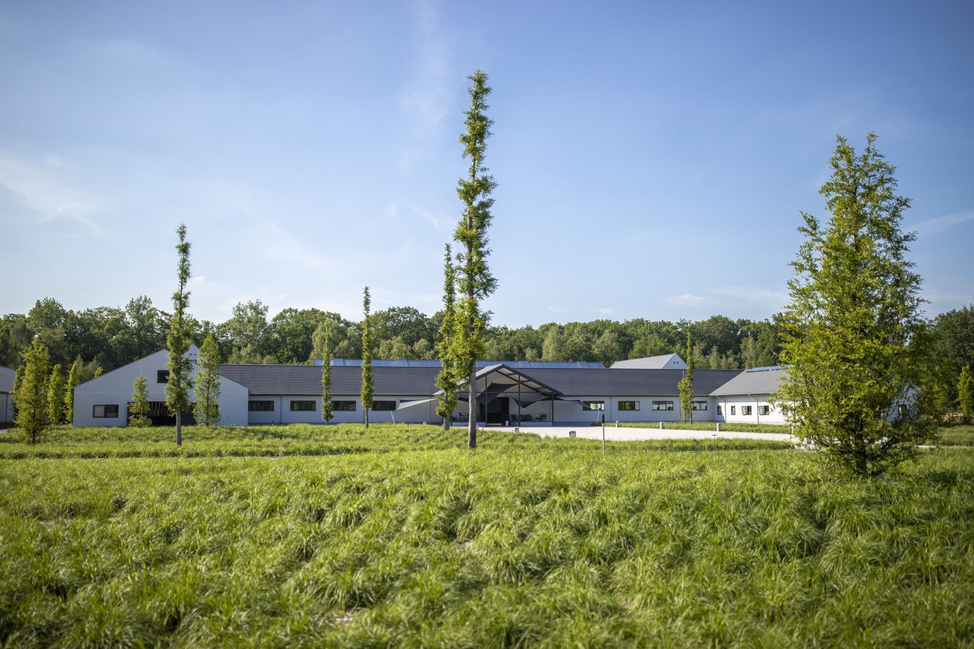 grastuin bij stoeterij