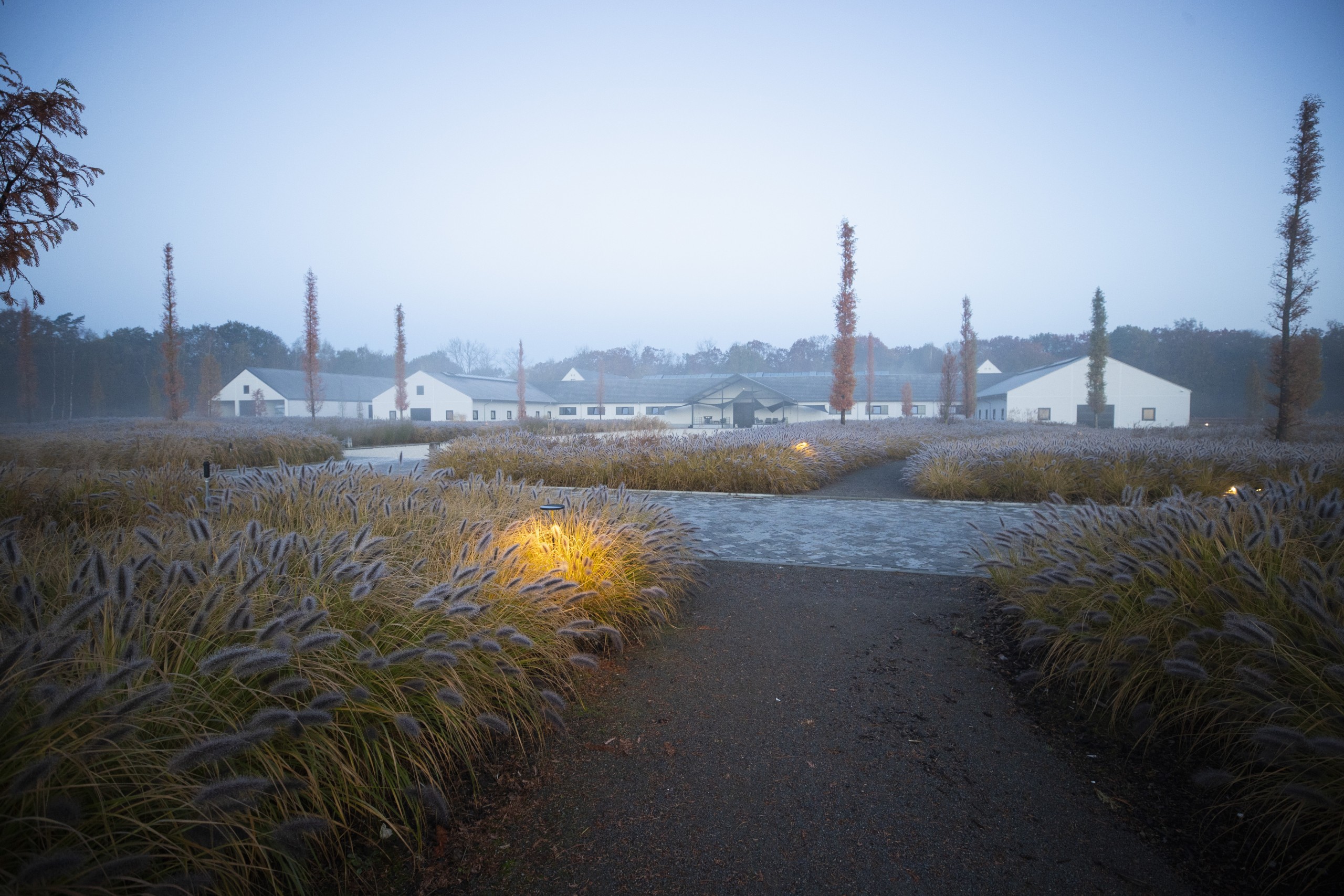 paden met beplanting