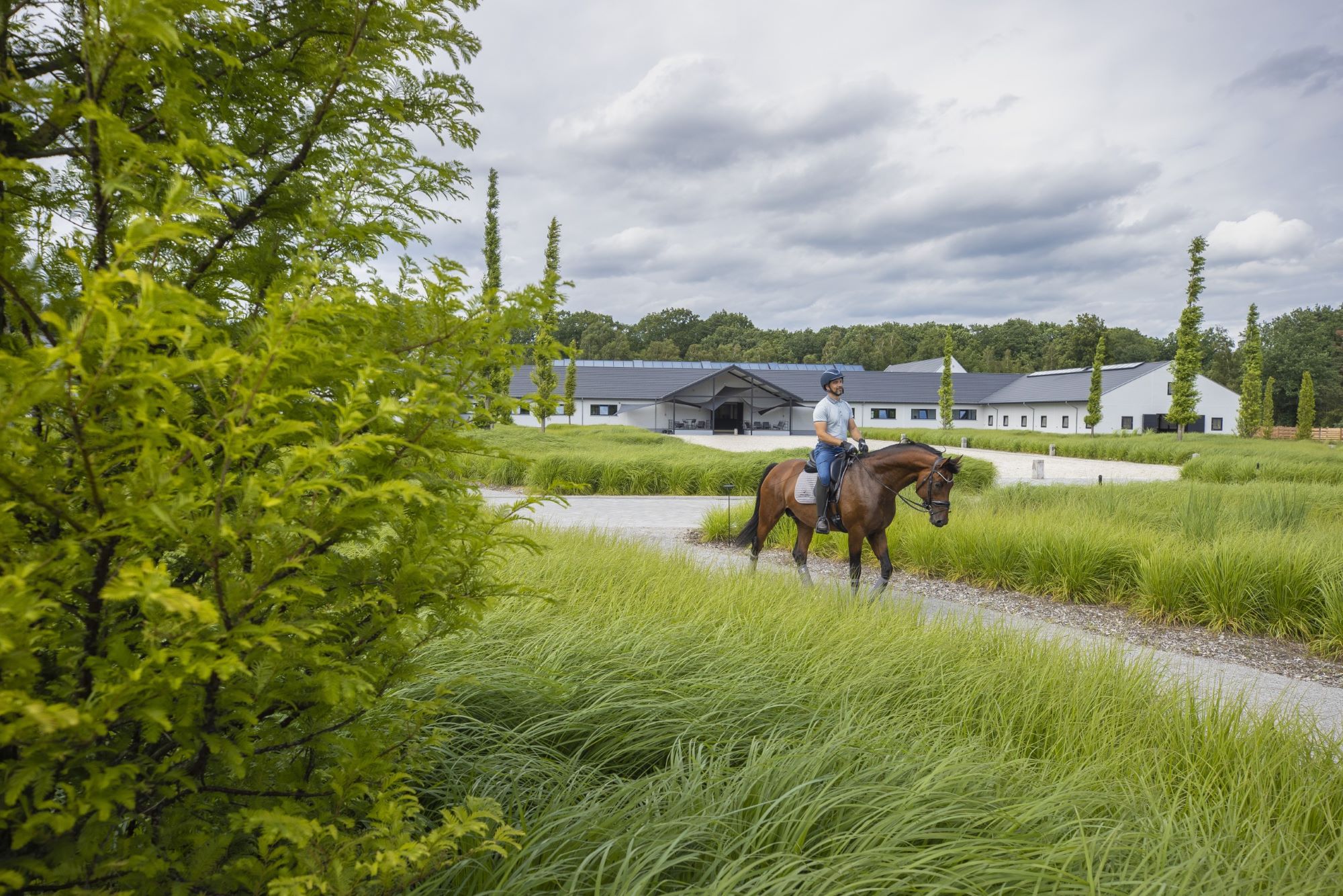 rijpaden met gras