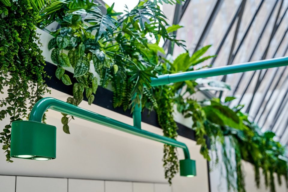 luxe interieurbeplanting