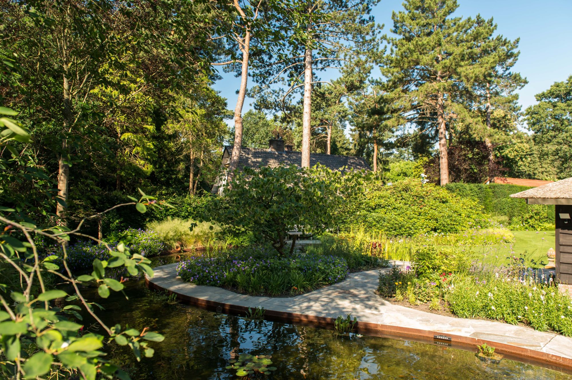 vijver met border