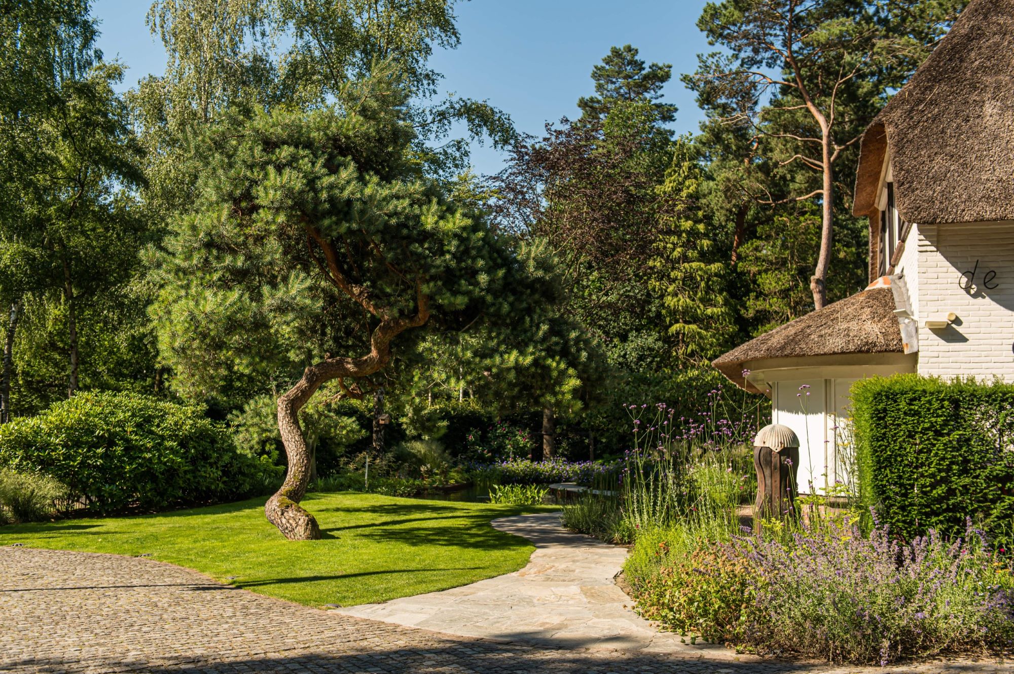 boom bij villa