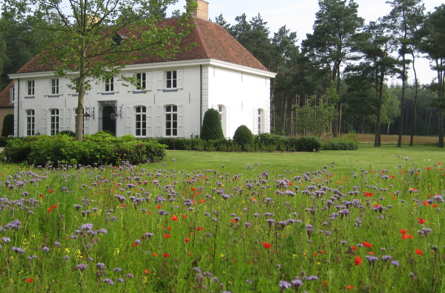 villa tuin met bloemen