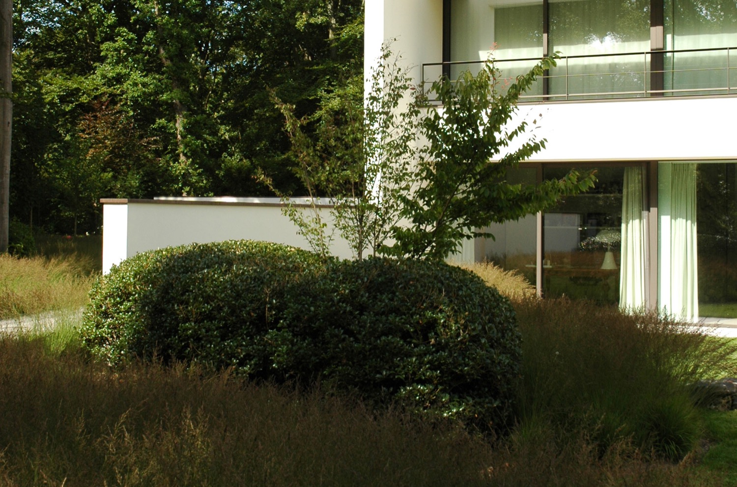 buxus bij villa