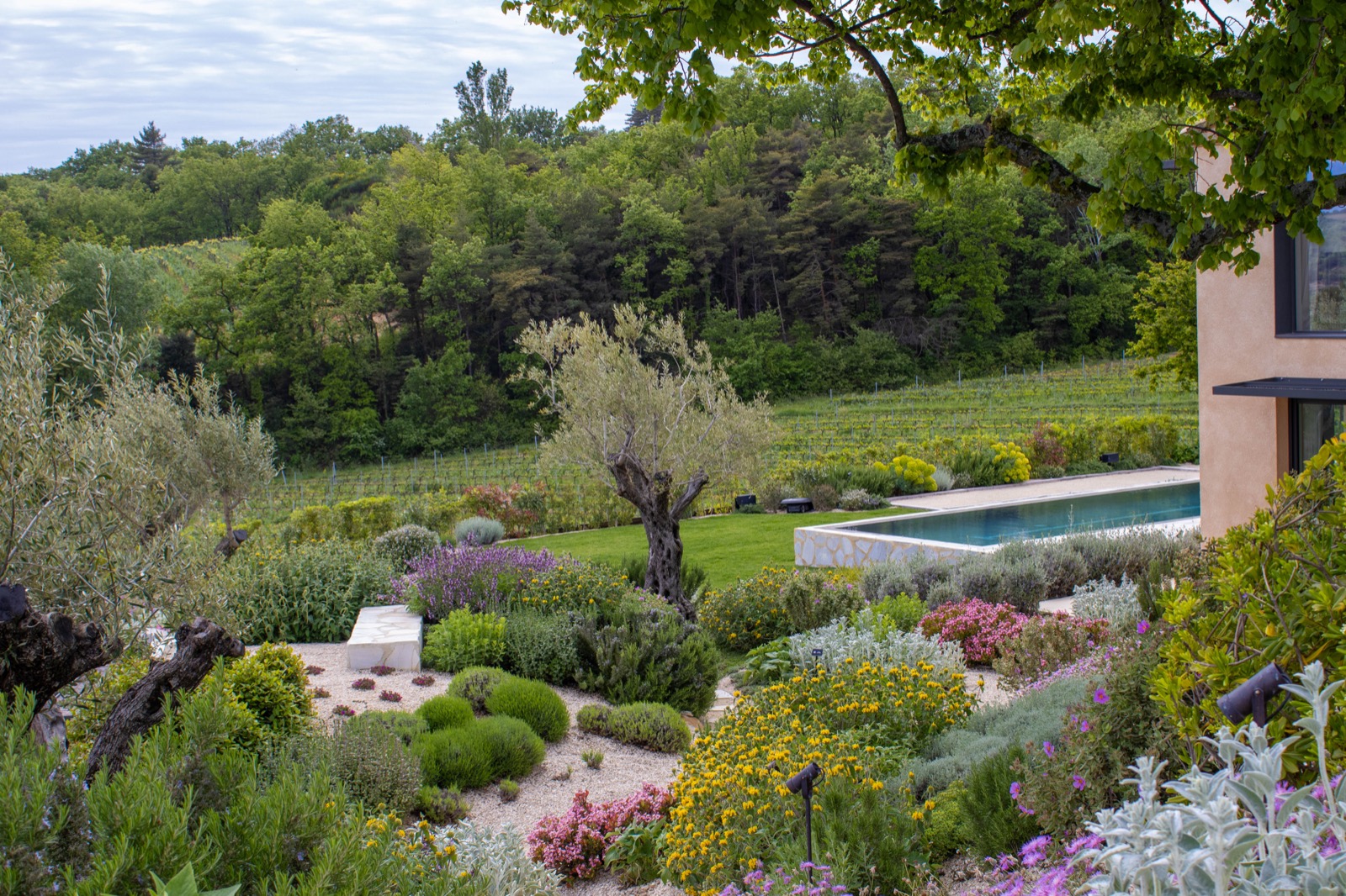 riante tuin met luxe beplanting