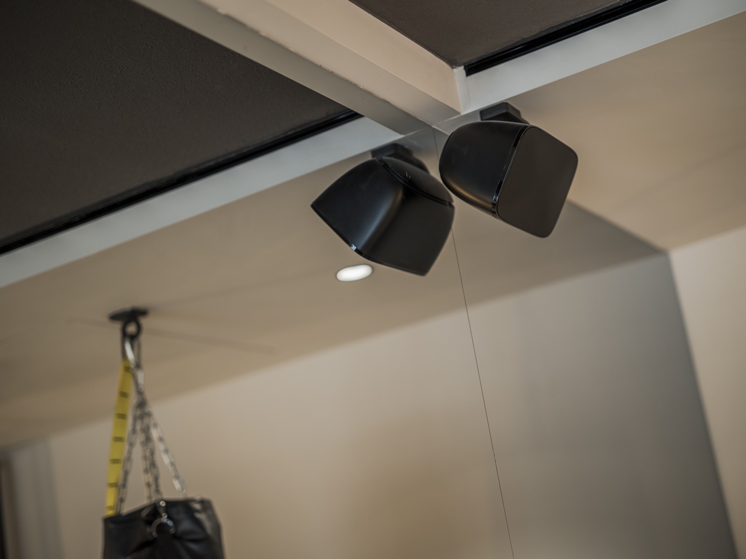 speakers in plafond