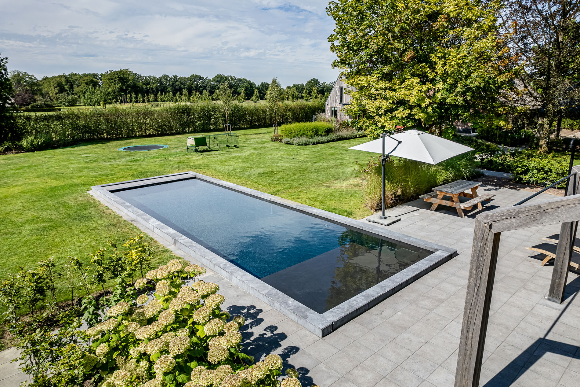 moderne tuin met zwembad