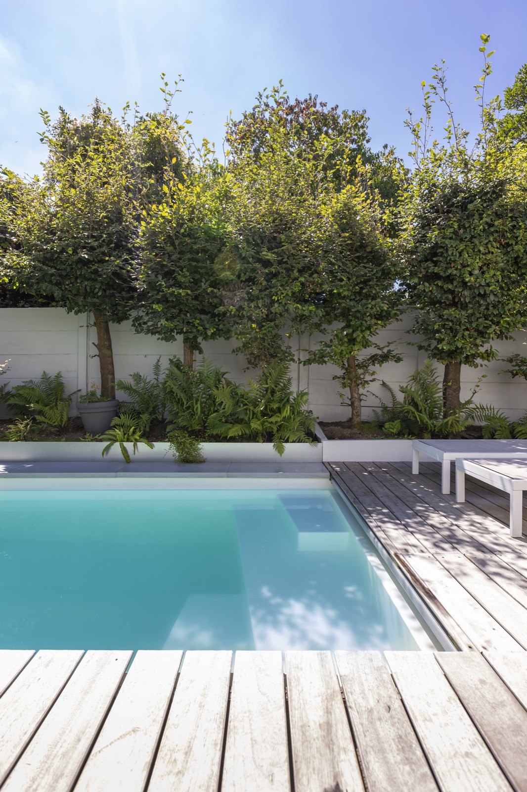 luxe zwembad met diverse bomen