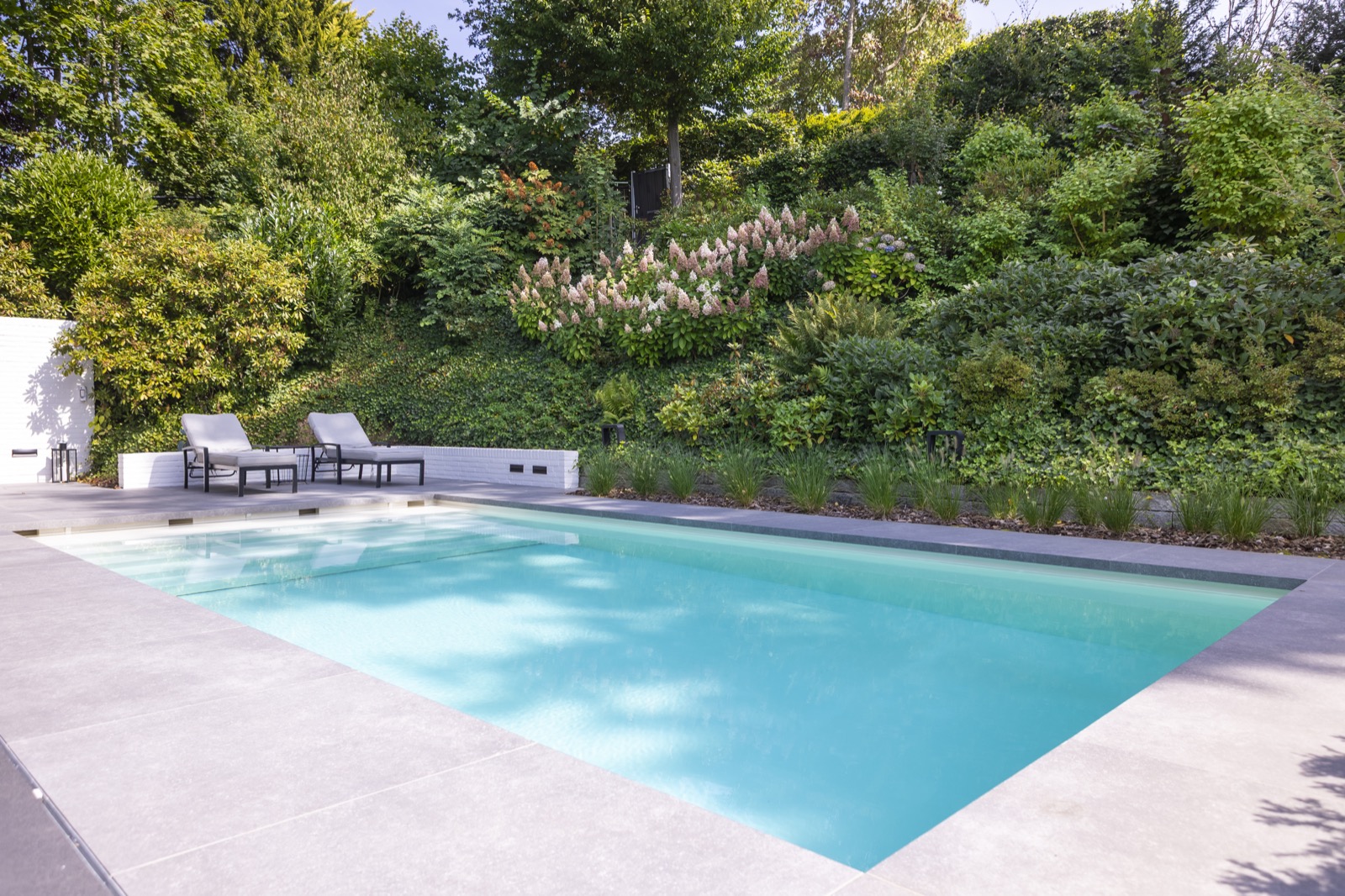 moderne tuin met zwembad