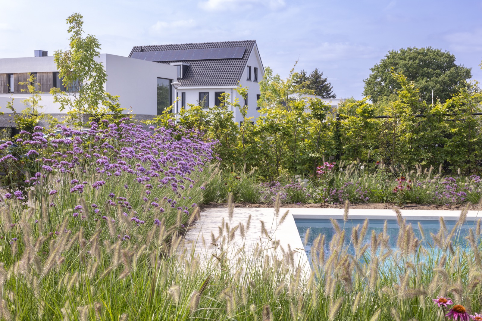design tuin met zwembad