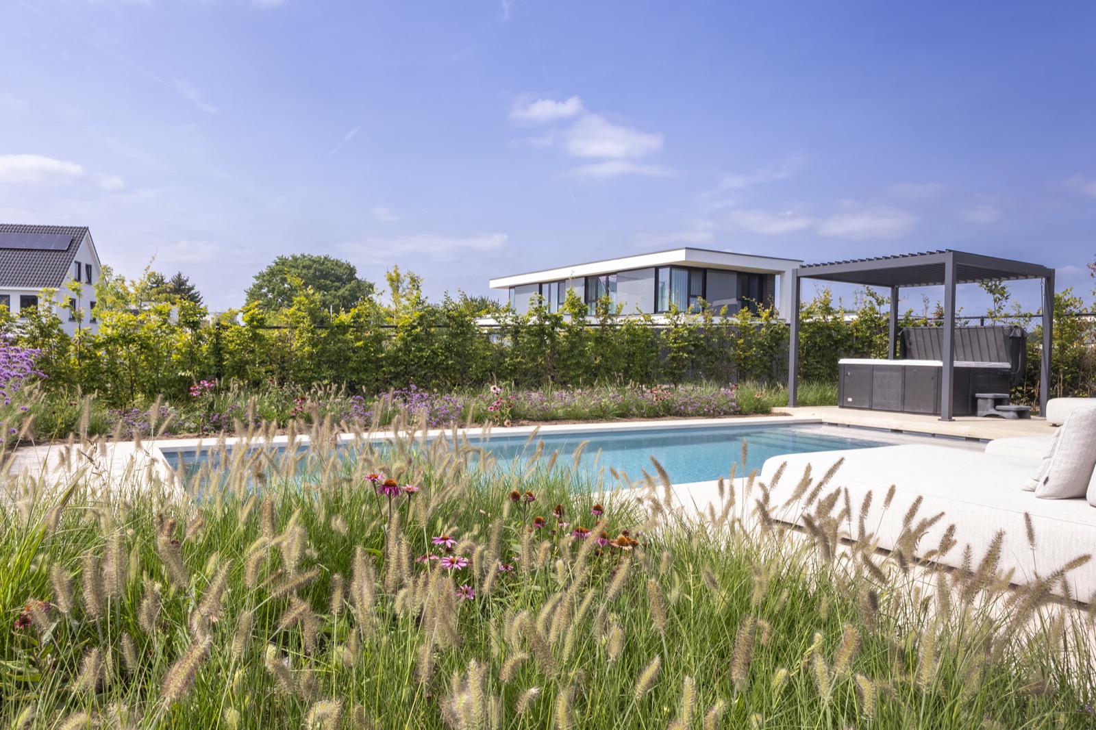 moderne tuin met zwembad