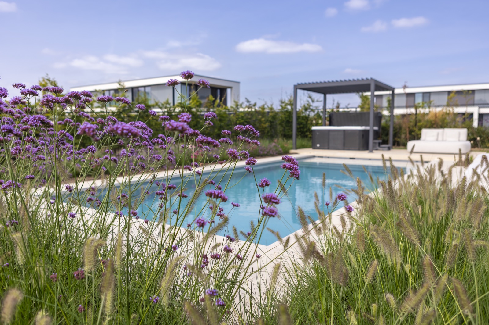 luxe tuin design met zwembad