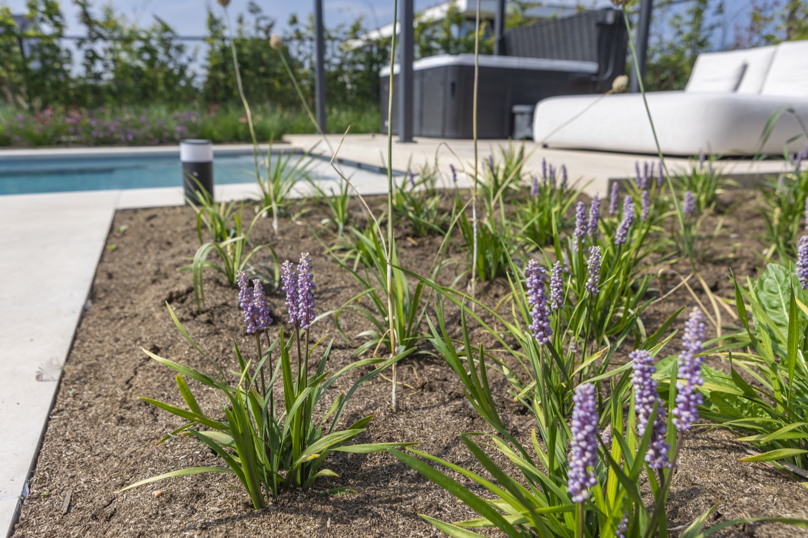 luxe beplanting