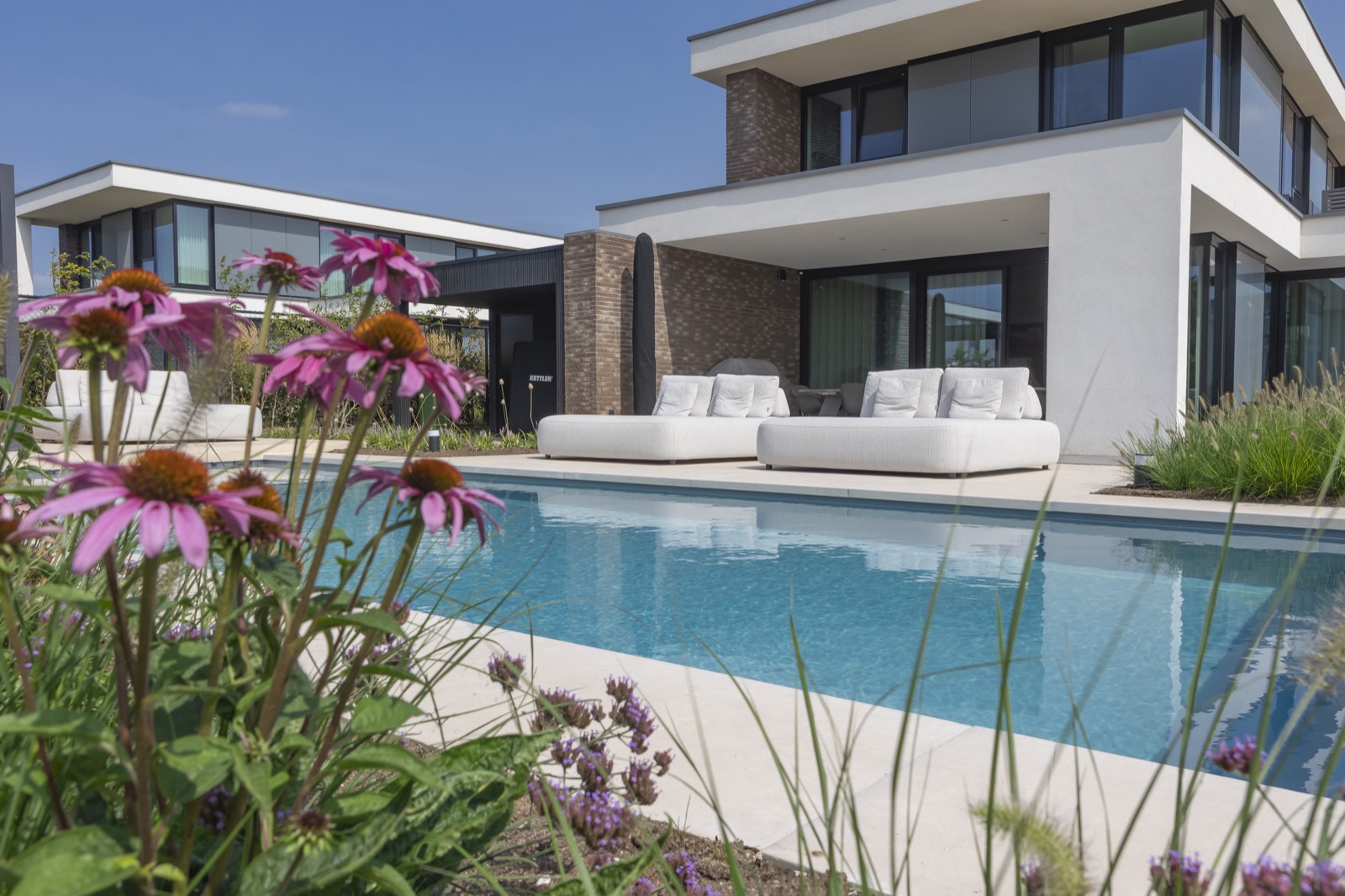 design zwembad met ligbedden