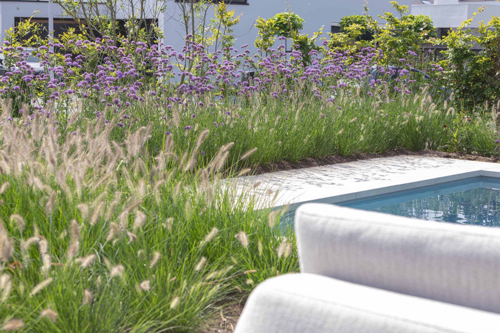 luxe tuin met beplanting