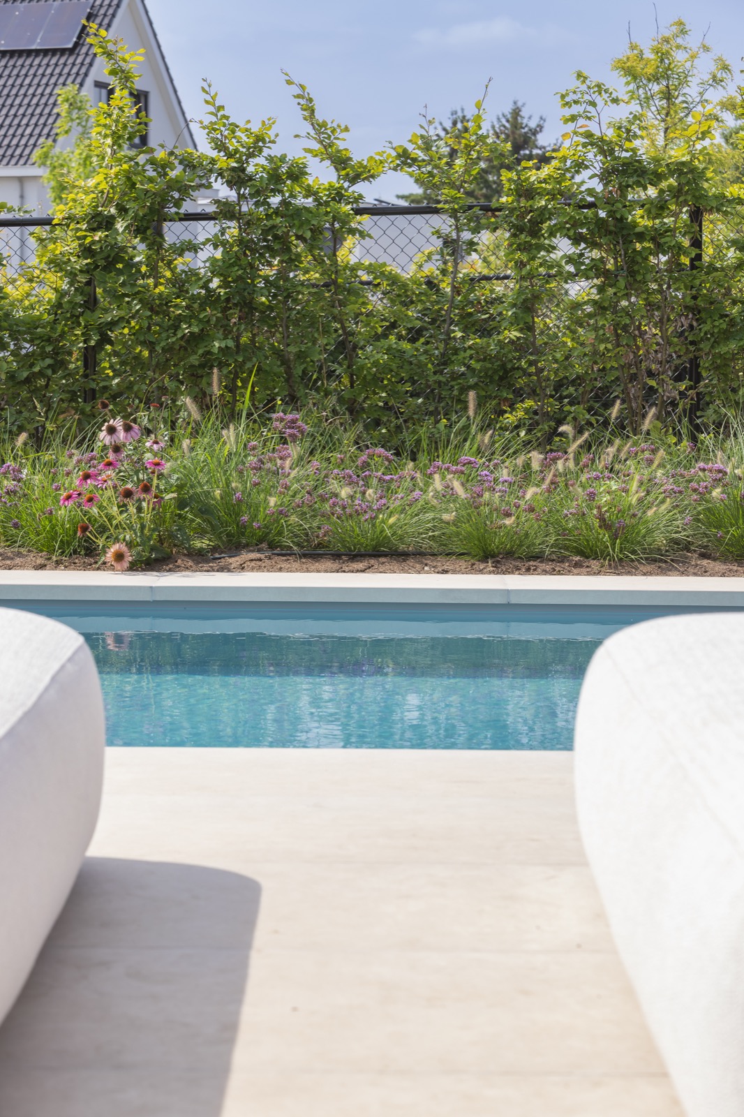 moderne tuin met groene beplanting