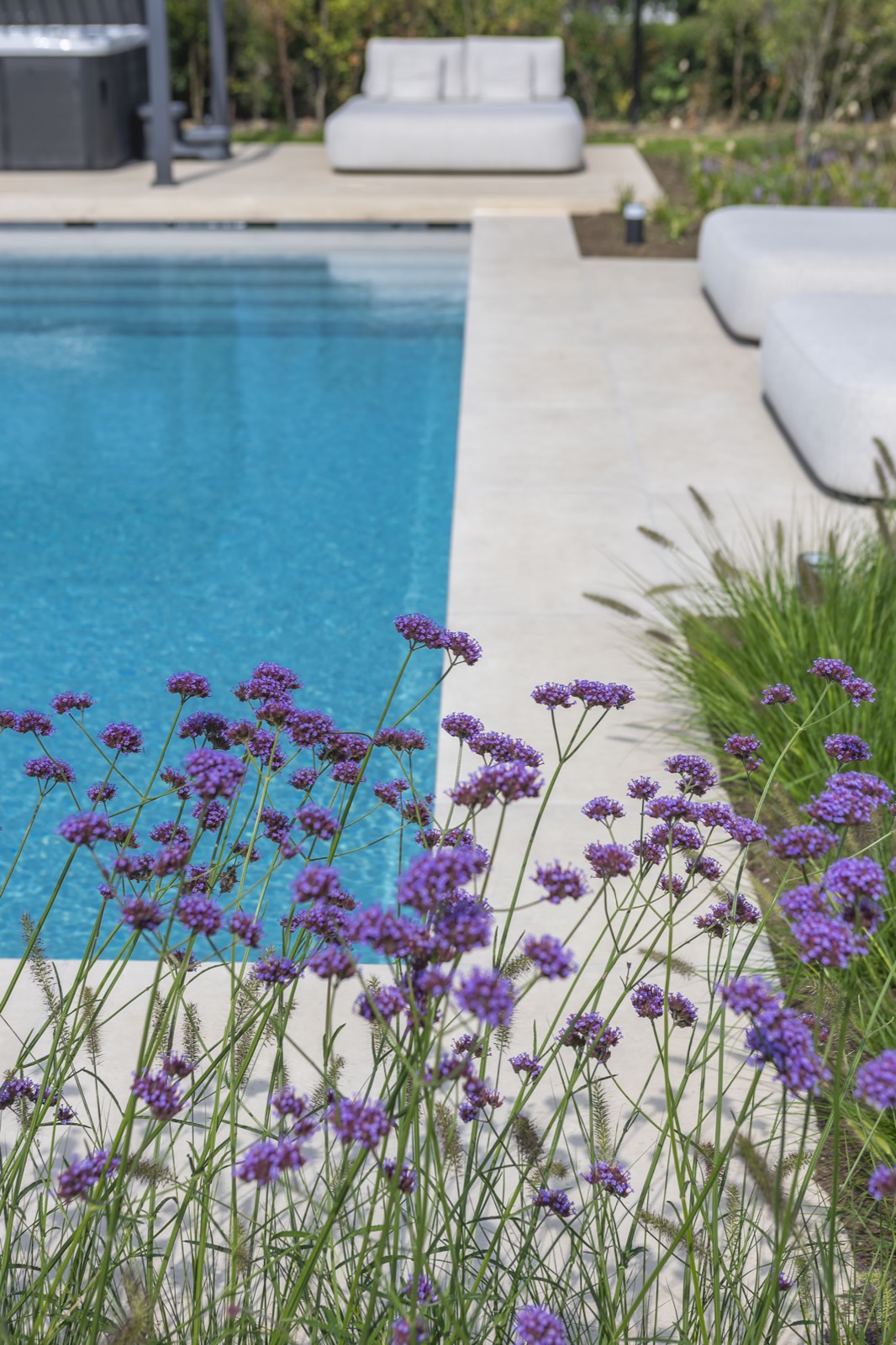 tuin met beplanting