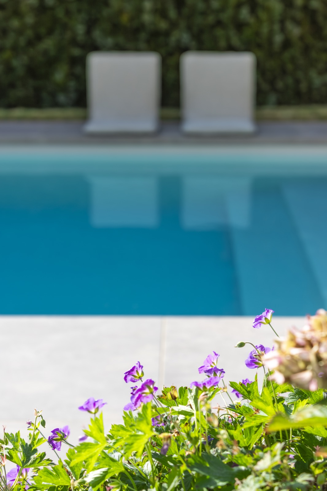 tuin design met zwembad