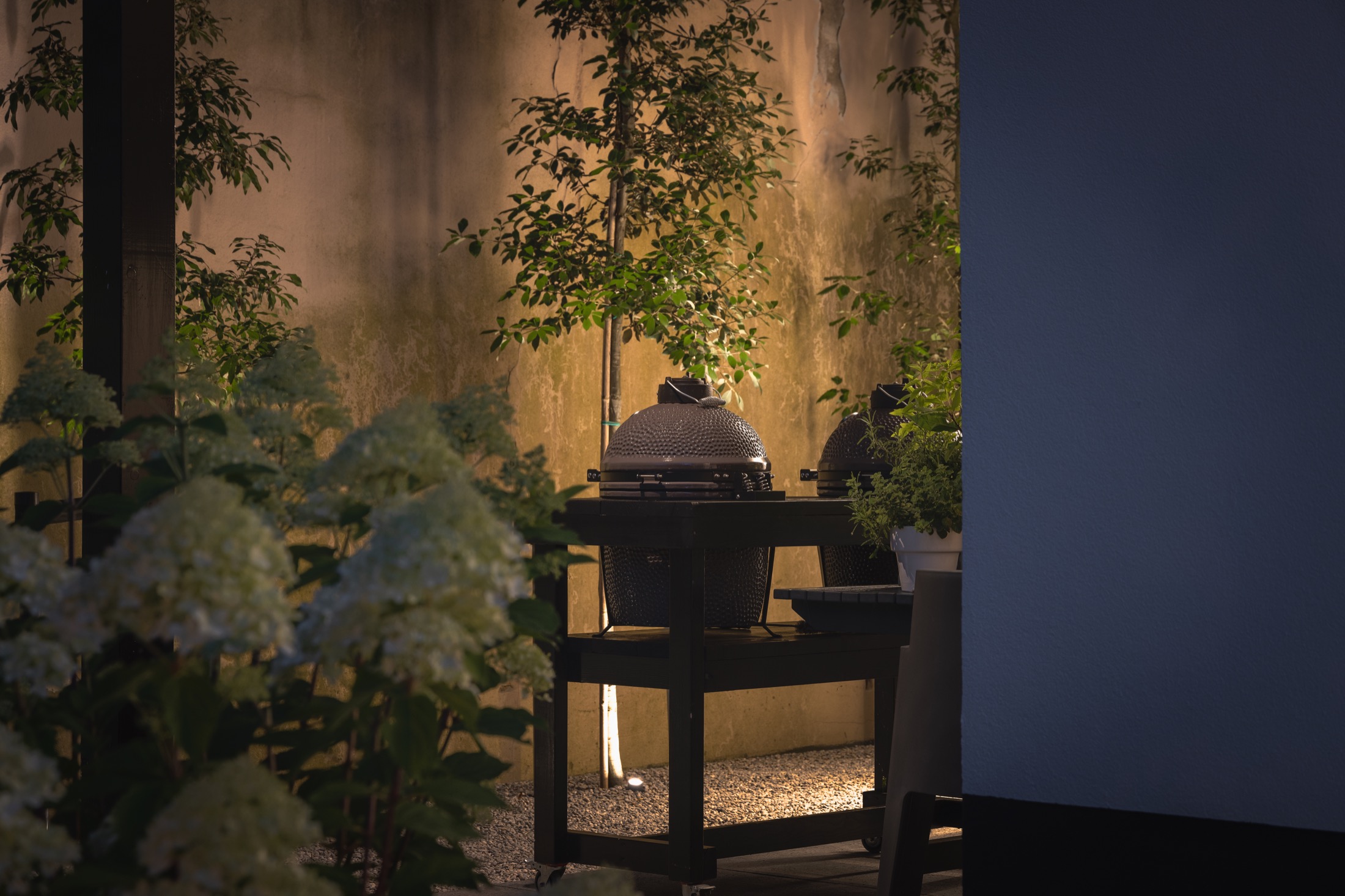 moderne tuin inspiratie