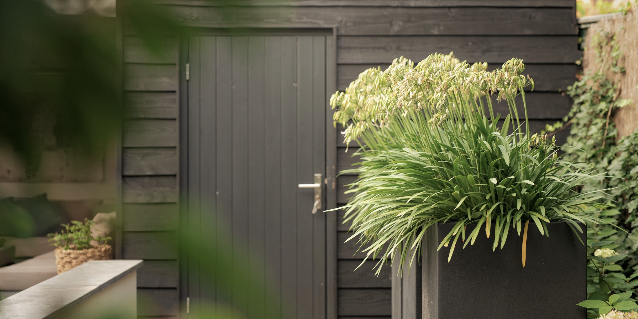 houten berging met deur