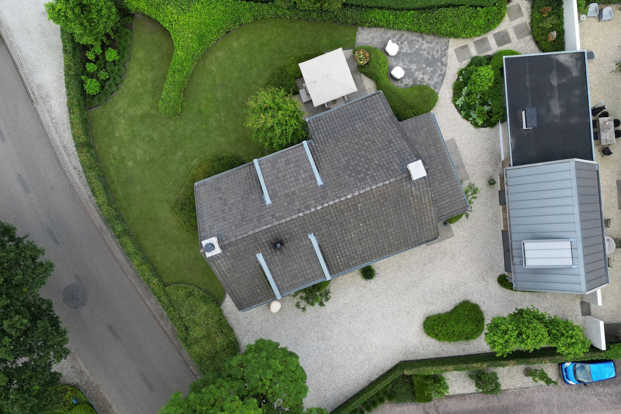 overzicht tuin