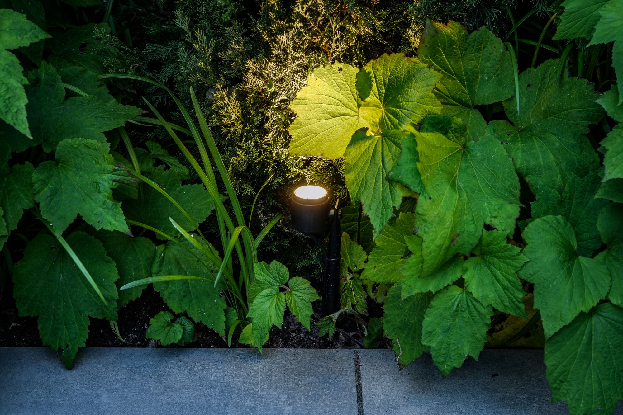 luxe tuinverlichting