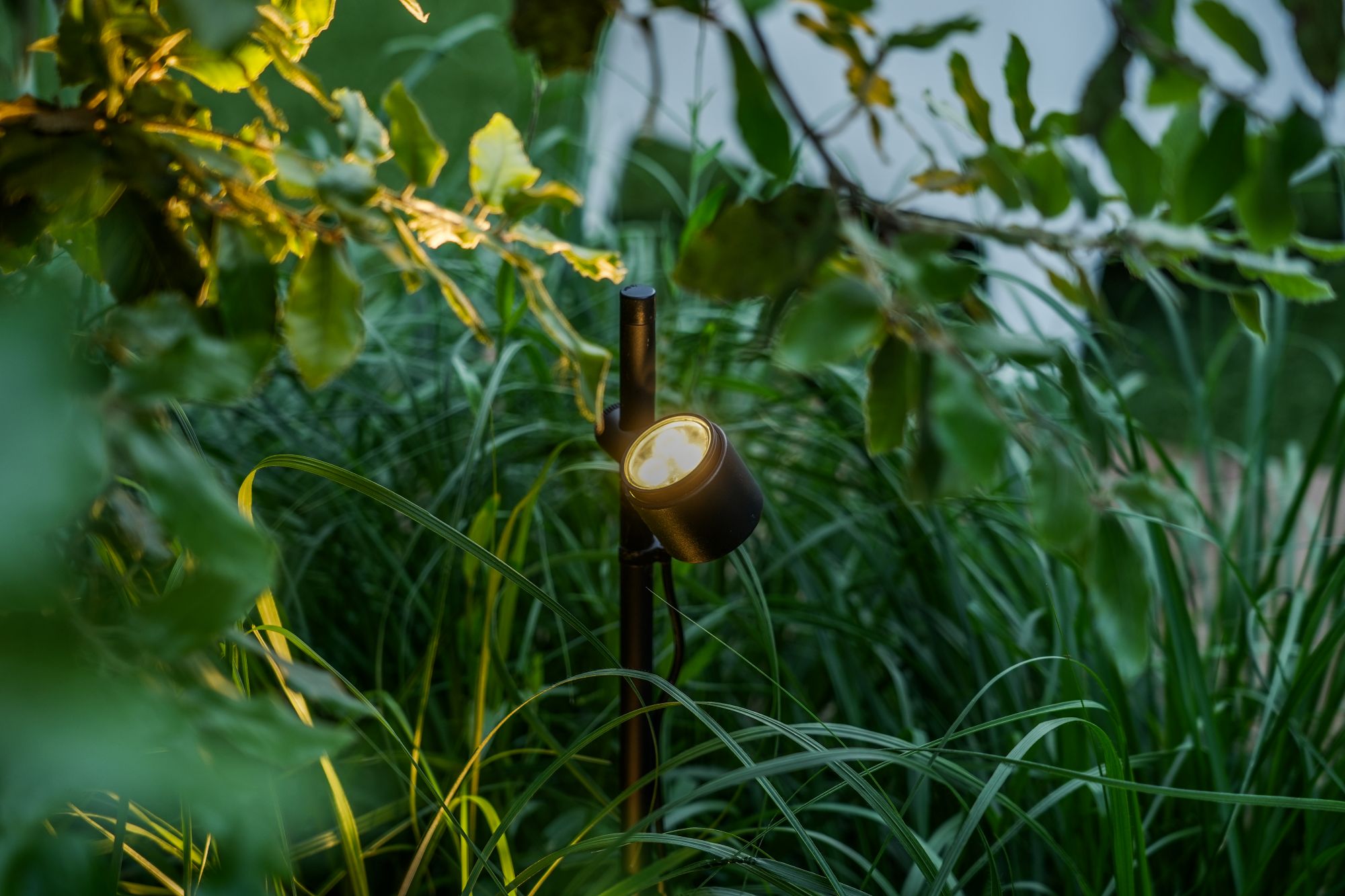 tuinbeplanting