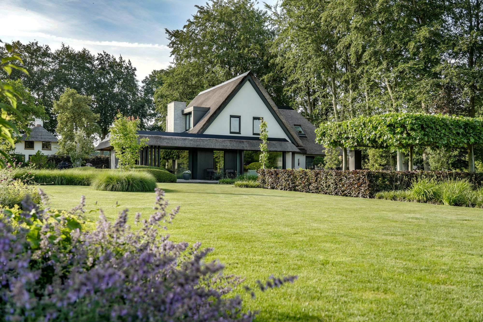groene tuin