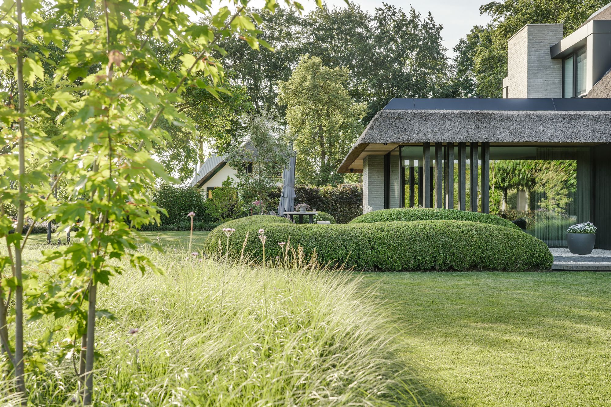 tuinbeplanting