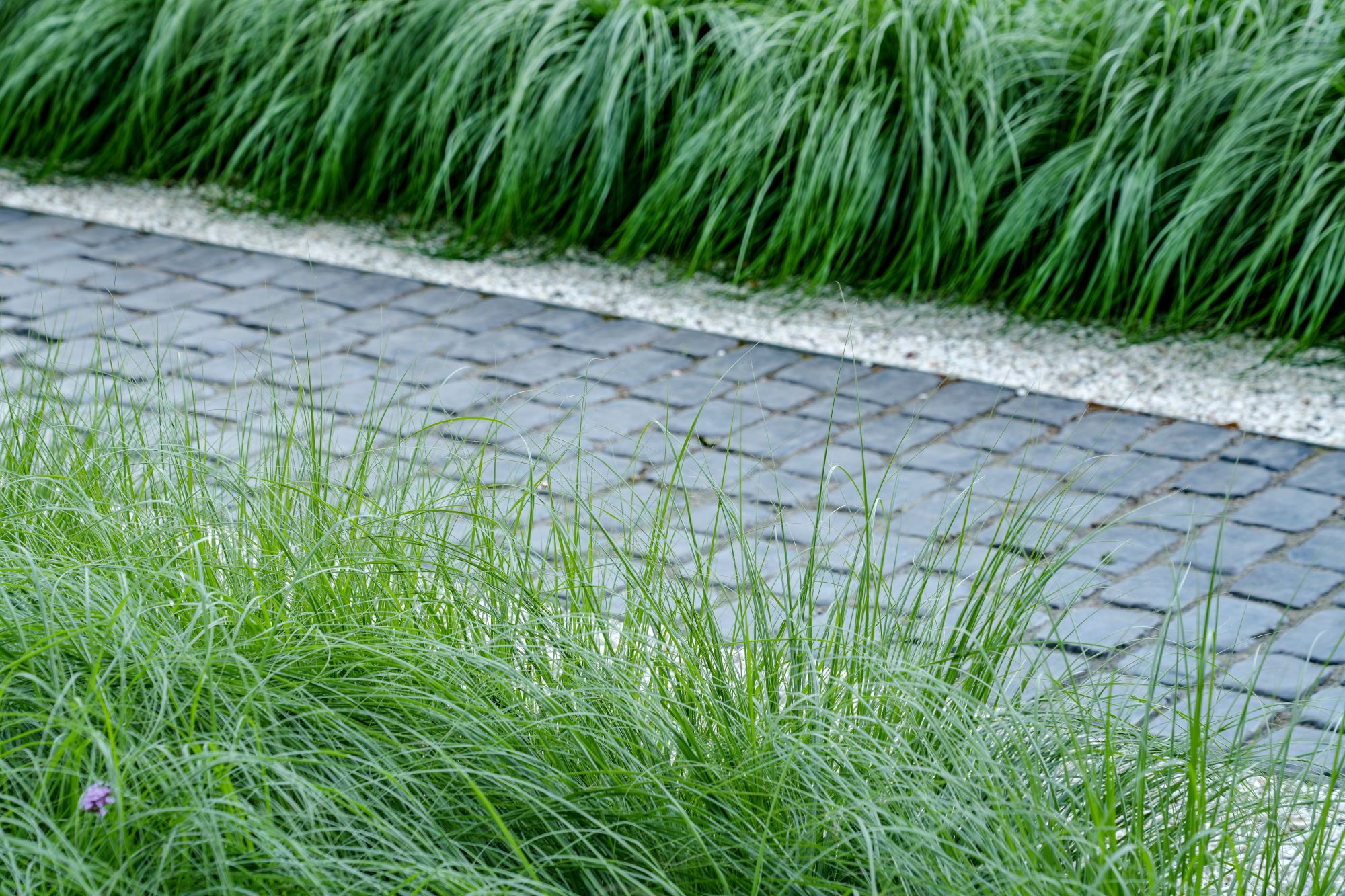 detail tuinpad