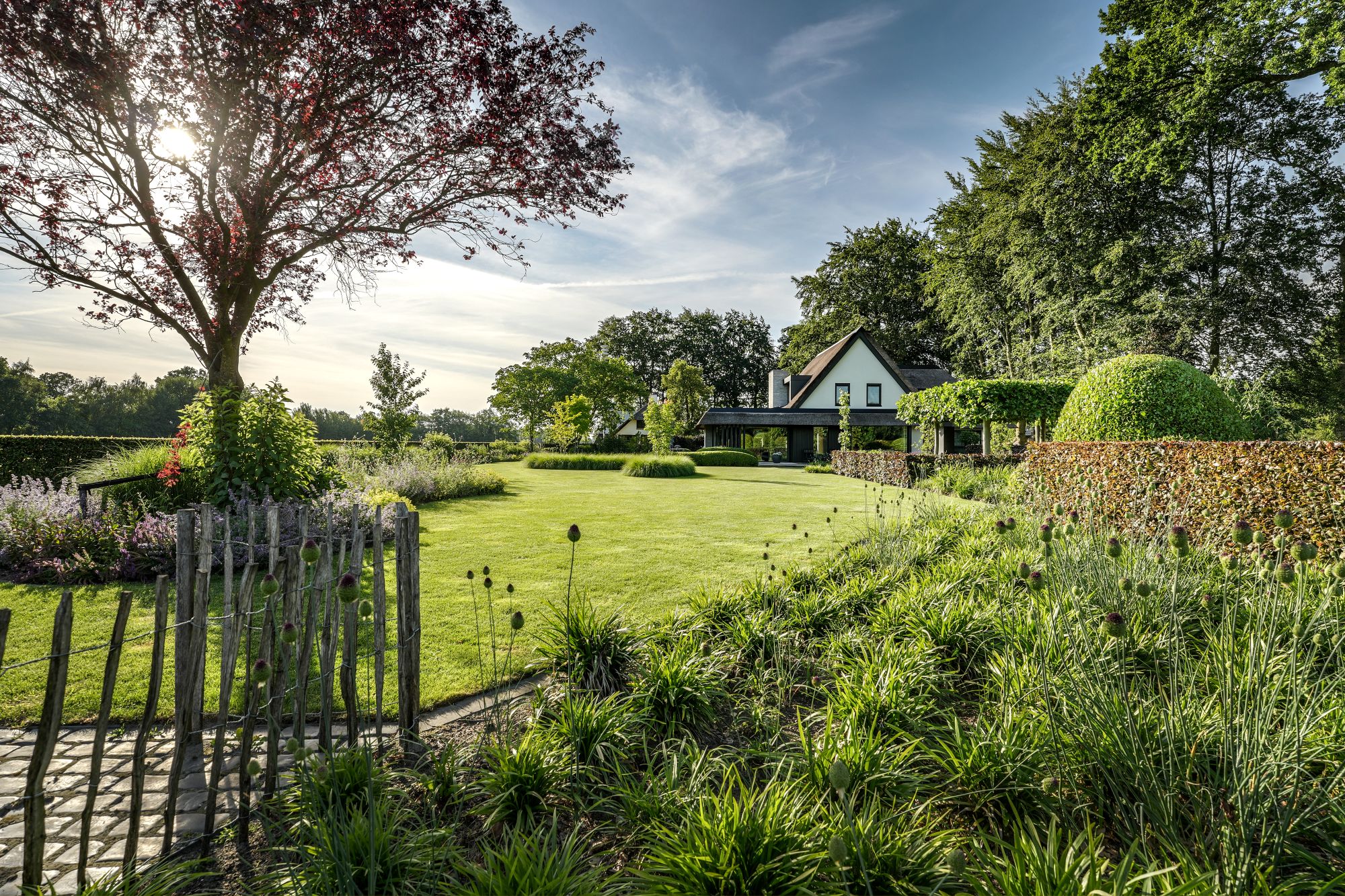 moderne tuin