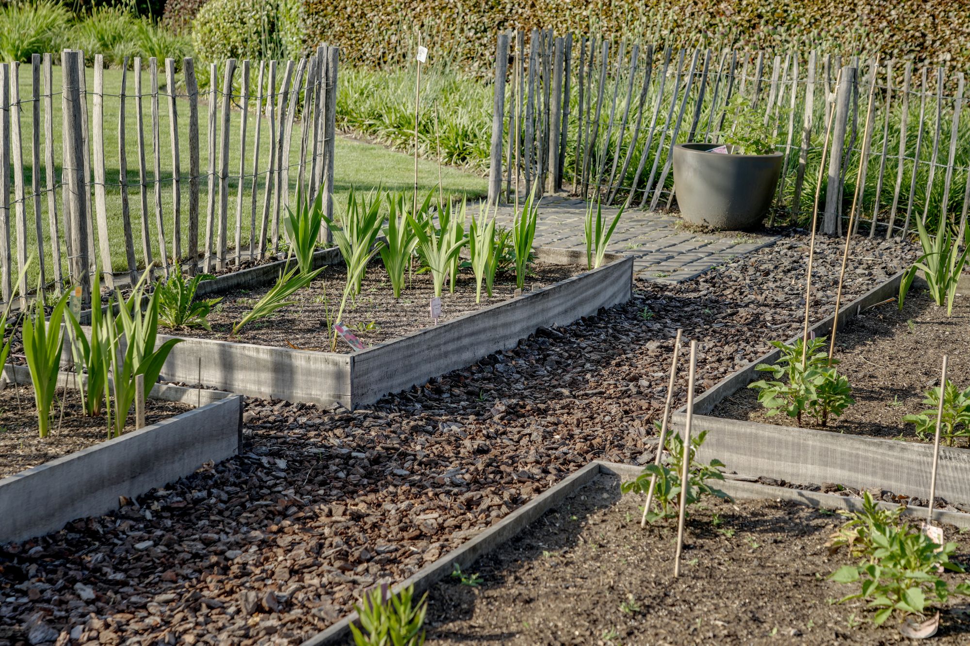 moestuin