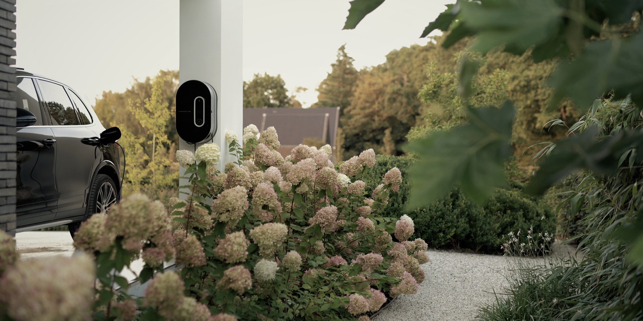 luxe beplanting in tuin ontwerp