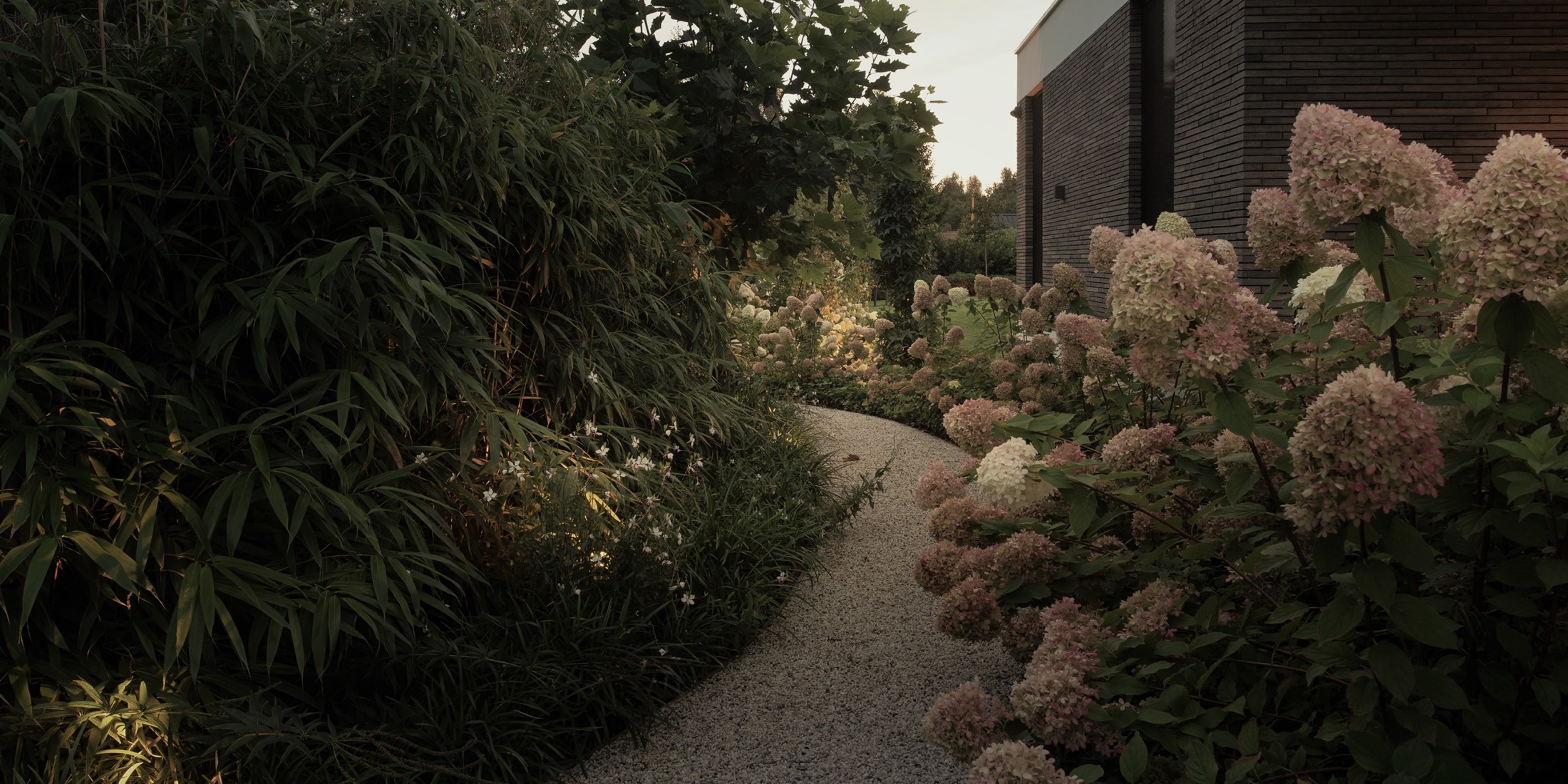 verlichte tuin met beplanting