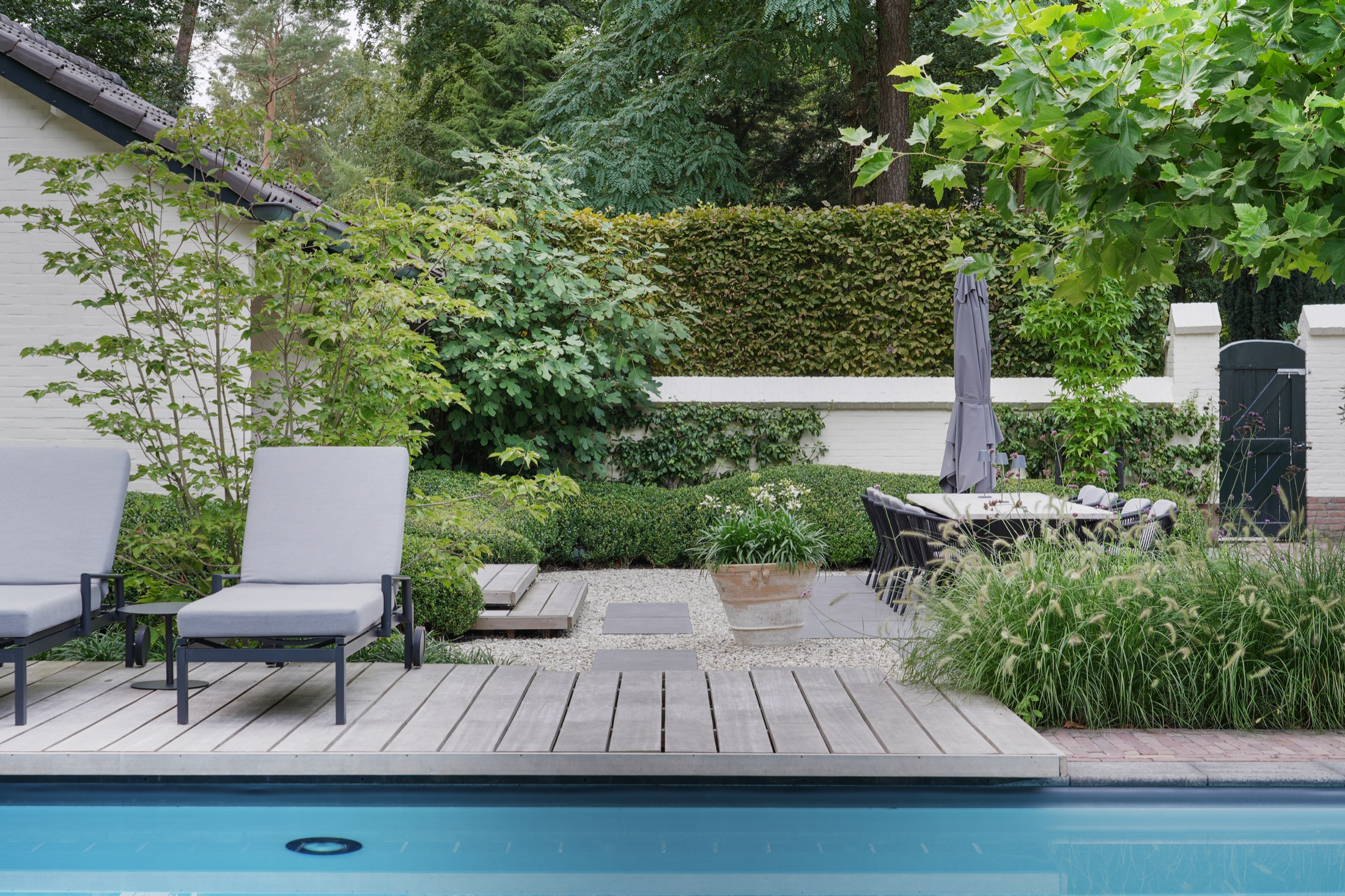 luxe tuin met zwembad
